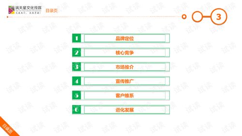 大米姐品牌營銷策劃案 企業(yè)形象策劃與商業(yè)計(jì)劃書精品模板